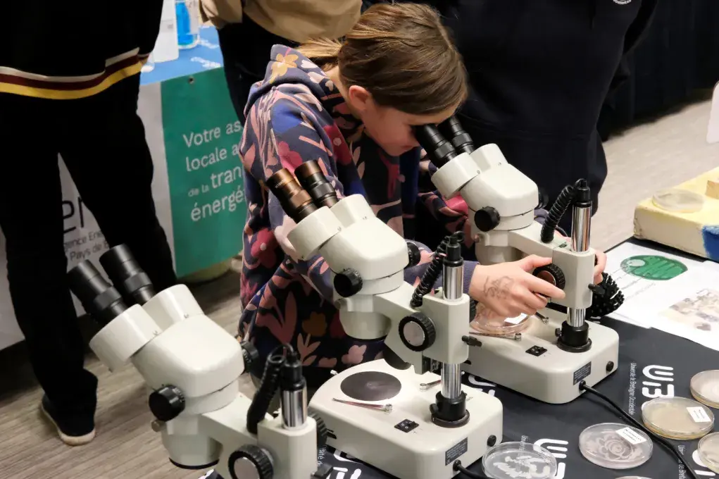 Une fillette regarde dans un microscope.