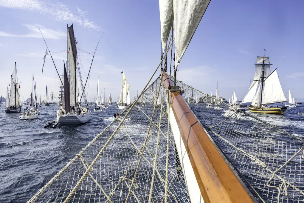 Vue des fêtes maritimes de 2024, avec de nombreux bateaux en rade de Brest. 