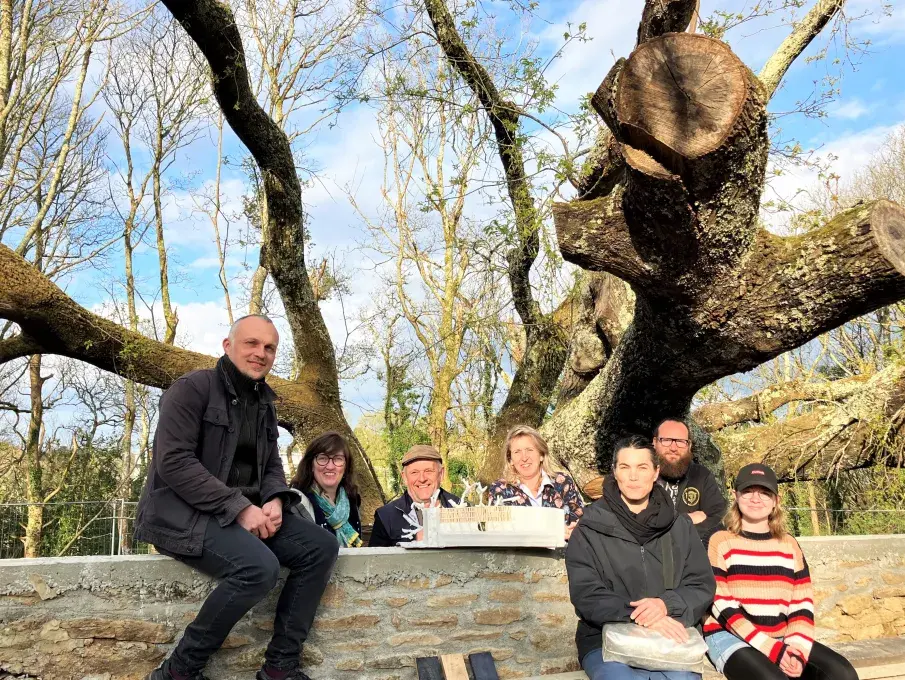 Des personnes posant sur un muret et sous un arbre