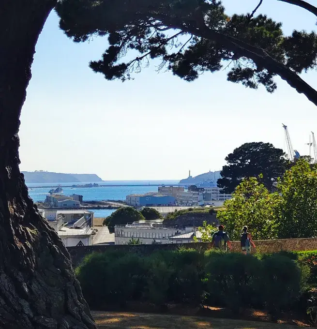vue de la rade de Brest sous un arbre