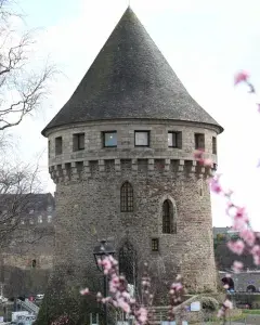 Visite de la tour Tanguy