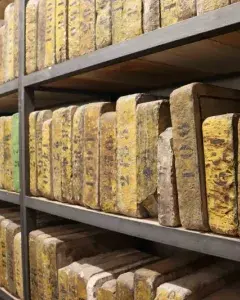 Visite guidée - Musée vivant de l'Imprimerie