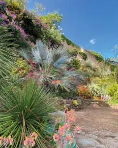 Visite guidée - Jardin Extraordinaire de Brest