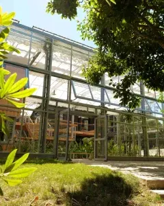 Conférence - Les pratiques féminines de la botanique (fin 18e-début 19e): de l’effacement à la redécouverte