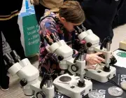 Une fillette regarde dans un microscope.