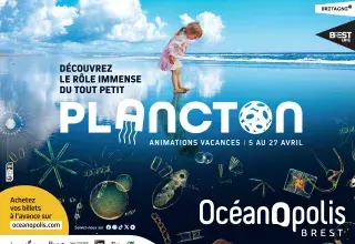 Découvrez le rôle immense du tout petit plancton