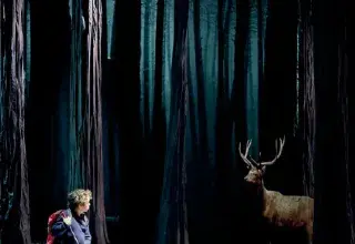 Le Bruit des Loups - Étienne Saglio (Jeune public)