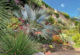 Visite guidée - Jardin Extraordinaire de Brest