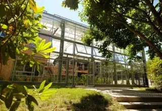 Conférence - Les pratiques féminines de la botanique (fin 18e-début 19e): de l’effacement à la redécouverte