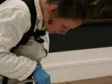 Atelier - Le musée à la loupe !