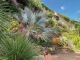 Visite guidée - Jardin Extraordinaire de Brest