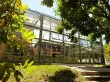 Ateliers artistiques au Conservatoire botanique